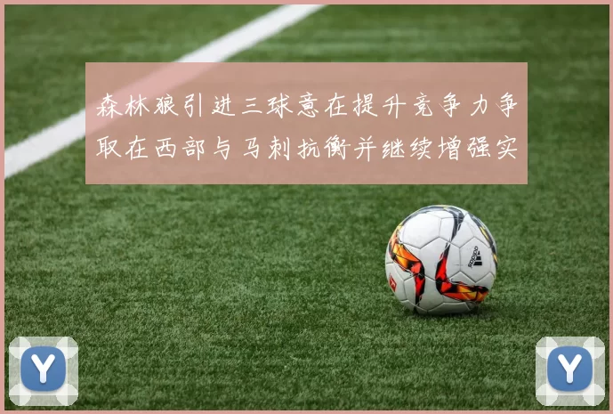 森林狼引进三球意在提升竞争力争取在西部与马刺抗衡并继续增强实力