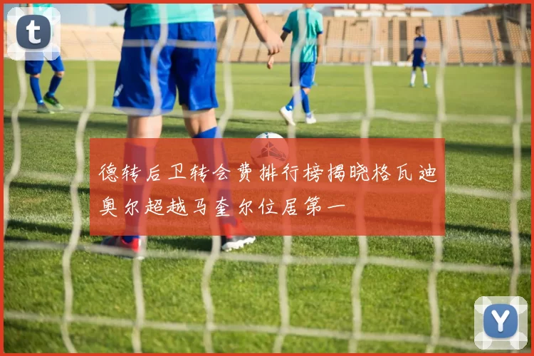 德转后卫转会费排行榜揭晓格瓦迪奥尔超越马奎尔位居第一